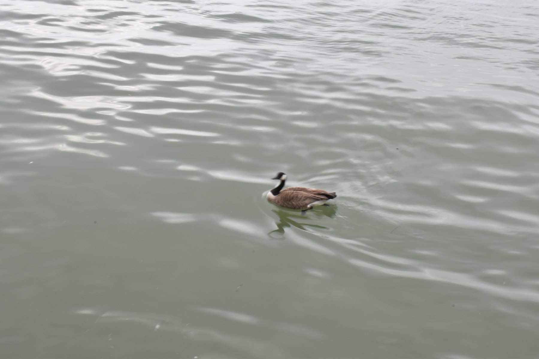 Au fil de l’eau — 1