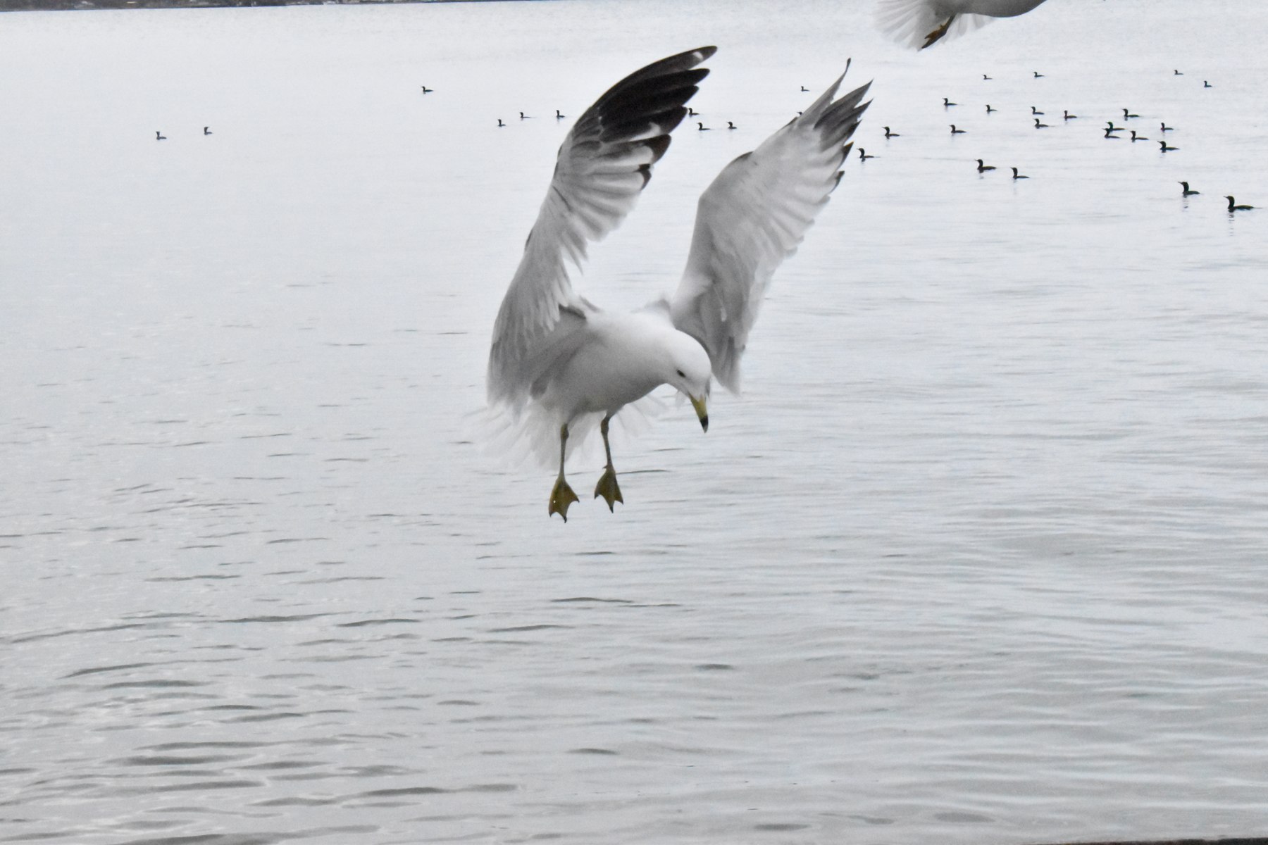 Au fil de l’eau — 4