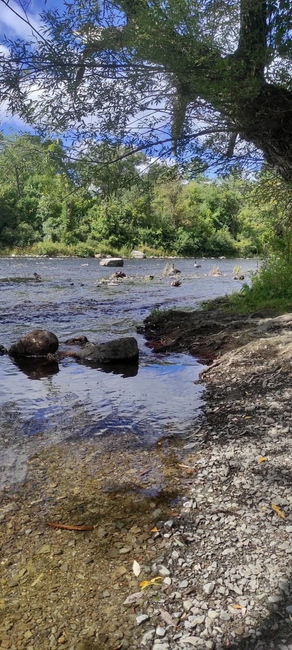 Berge ombragée et eau claire