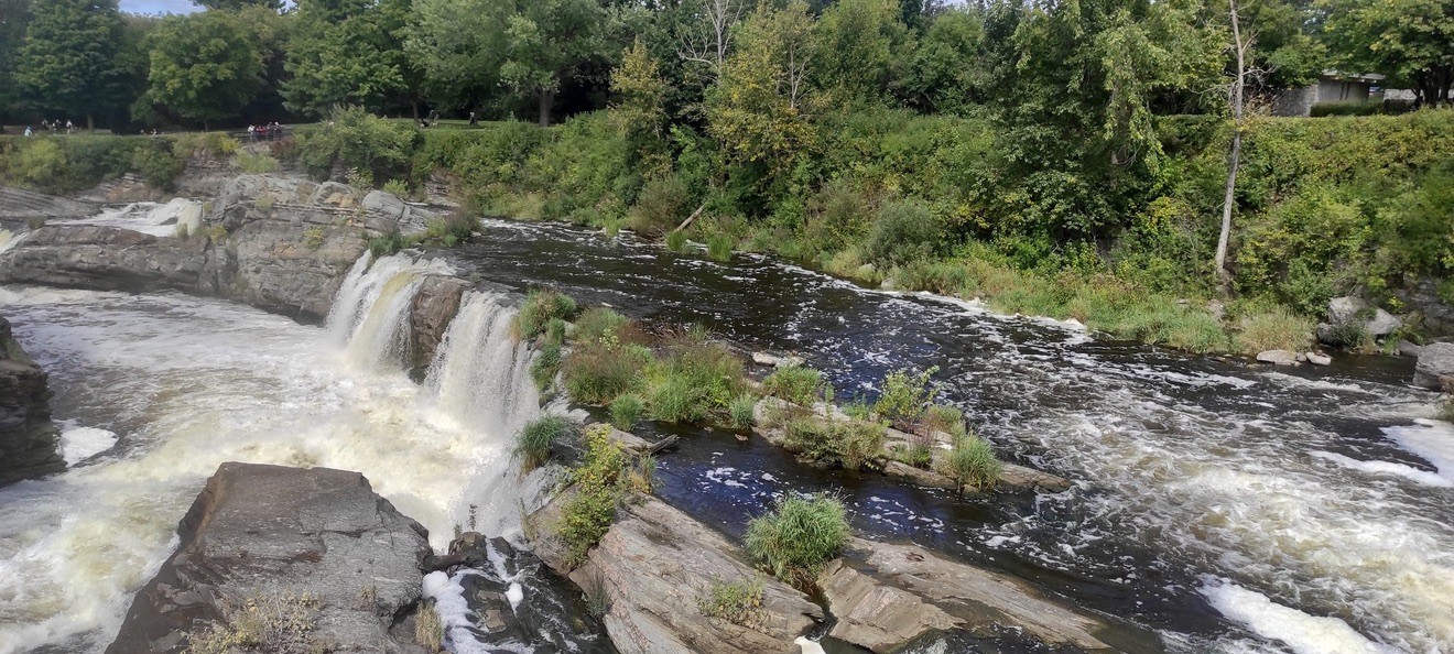 Chutes et rochers au milieu de la végétation